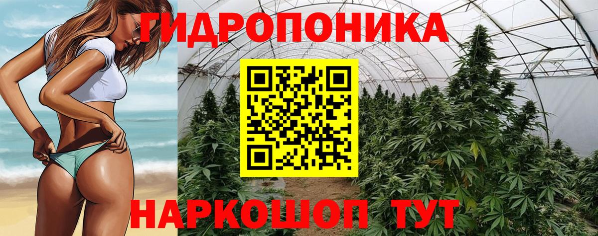 Ступино  Шишки марихуана OG Kush  Шишки марихуана VHQ  Канабис марихуана  Вход с VPN 